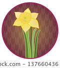 Illustration of a trumpet daffodil with a circular background 137660436