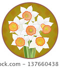 Illustration of a trumpet daffodil with a circular background 137660438