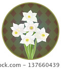 Illustration of a trumpet daffodil with a circular background 137660439