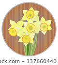Illustration of a trumpet daffodil with a circular background 137660440