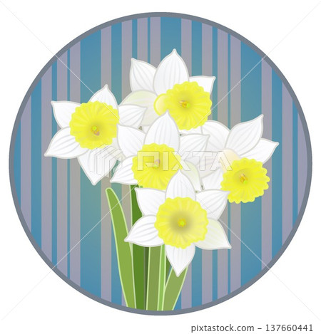 Illustration of a trumpet daffodil with a circular background 137660441