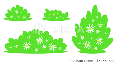 Set of flat green bushes and blooming shrubs with small white daisy flowers. Cartoon nature vector illustration isolated on white background Set of flat green bushes and blooming shrubs with small white daisy flowers. Cartoon nature vector illustration isolated on white background 137660788