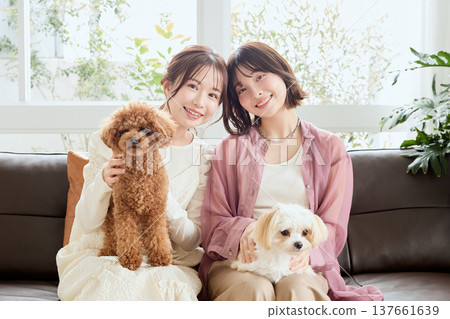 Women living with Toy Poodles and Maltese dogs: A lifestyle with dogs Women living with Toy Poodles and Maltese dogs: A lifestyle with dogs 137661639
