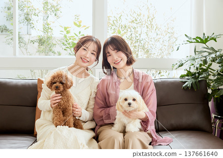 Women living with Toy Poodles and Maltese dogs: A lifestyle with dogs Women living with Toy Poodles and Maltese dogs: A lifestyle with dogs 137661640