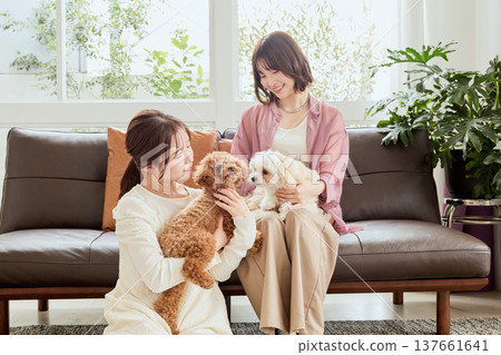 Women living with Toy Poodles and Maltese dogs: Lifestyles with dogs 137661641