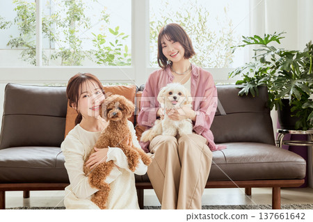 Women living with Toy Poodles and Maltese dogs: A lifestyle with dogs 137661642