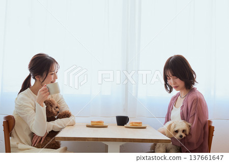Two women enjoying a cafe time with their Toy Poodle and Maltese: A holiday lifestyle with pets. Two women enjoying a cafe time with their Toy Poodle and Maltese: A holiday lifestyle with pets. 137661647