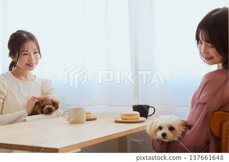 兩位女士帶著她們的玩具貴賓犬和馬爾濟斯犬在咖啡館享受時光：與寵物相伴的生活方式 137661648