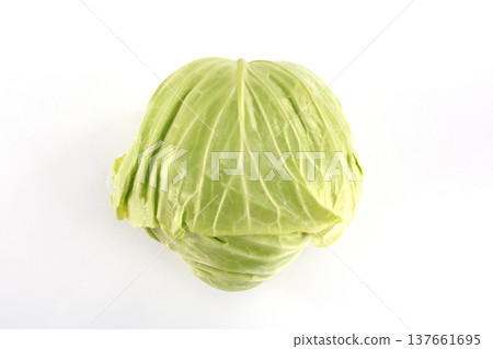 新鮮的白菜 新鮮的白菜 137661695