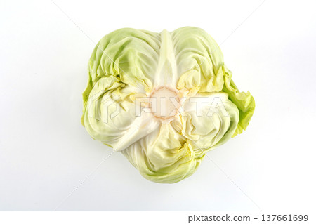 新鮮的白菜 137661699
