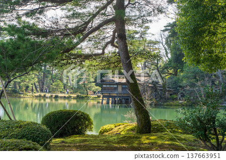 兼六園景色,這是一座帶有池塘和茶室的日式庭園(日本石川縣金澤市) 兼六園景色,這是一座帶有池塘和茶室的日式庭園(日本石川縣金澤市) 137663951