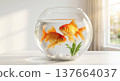 Calm goldfish gliding through water in light room near window 137664037