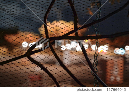 Vines climb the wire mesh in the dark 137664043