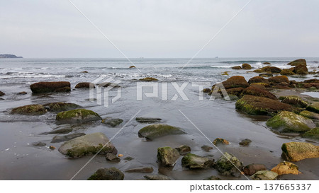Moss-covered boulders adorn the sandy beach of a marine bay on the Kuril Islands. Moss-covered boulders adorn the sandy beach of a marine bay on the Kuril Islands. 137665337