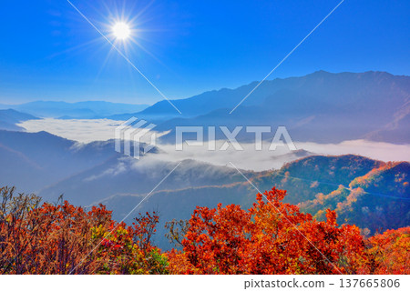 【壯觀的雲海】新潟縣栞峠的旭日照亮了山脈和瀑布般的雲層。 137665806