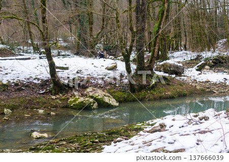 Stream in the forest. Winter landscape. River in the forest. Stream in the forest. Winter landscape. River in the forest. 137666039