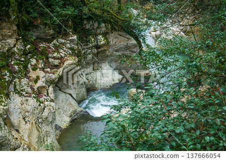 mountain river in the canyon in the forest. mountain river in the canyon in the forest. 137666054