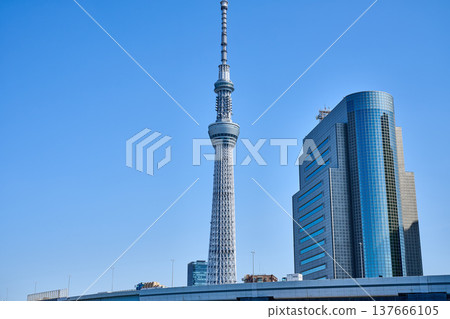 從隅田川看見的天空樹 137666105