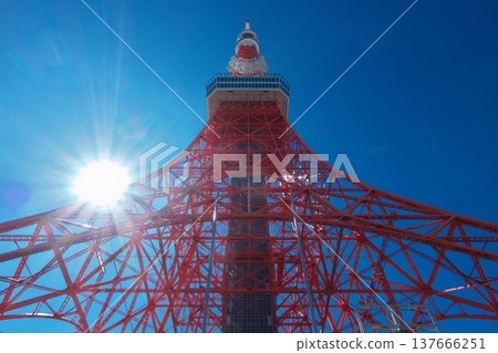 Tokyo Tower, standing out against the deep blue sky during the daytime, is a vibrant red and white landmark that symbolizes Japan's capital city. 137666251