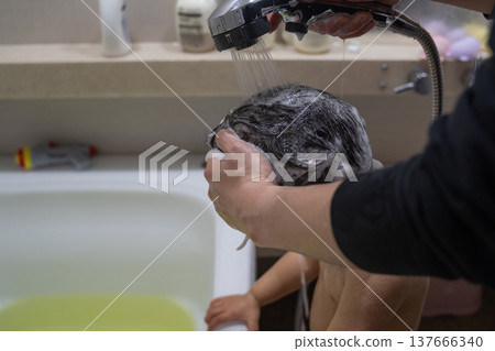 A child washing their hair 137666340