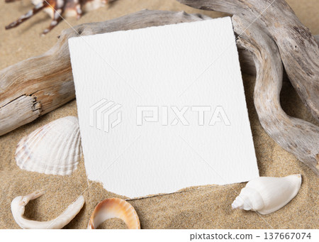 Mockup of blank card on beige sand with seashells, template for beach wedding and event graphics 137667074