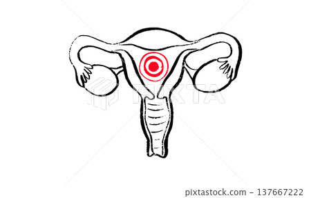 Female reproductive system 137667222