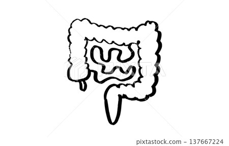 Human intestine sketch 137667224