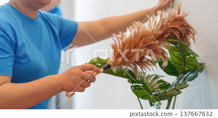 House Cleaning. Close-up of a woman dusting a plant indoors. House Cleaning. Close-up of a woman dusting a plant indoors. 137667632