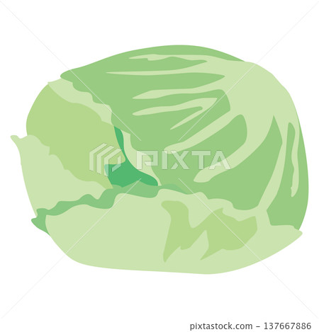 Simple illustration material of "lettuce" vegetable/food ingredient. Simple illustration material of "lettuce" vegetable/food ingredient. 137667886