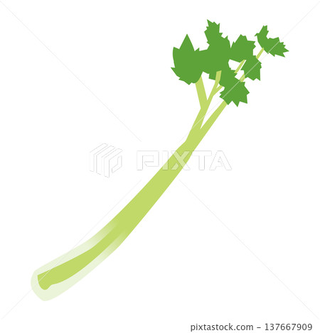 芹菜(一種蔬菜/食材)的簡單插圖。 芹菜(一種蔬菜/食材)的簡單插圖。 137667909