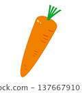 Simple illustration material of a carrot, a vegetable/food ingredient. 137667910