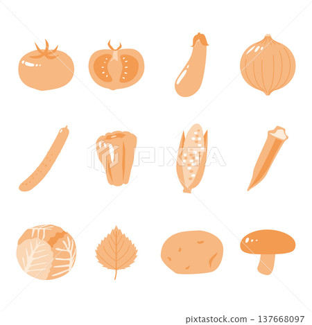 各種蔬菜和食材的簡圖。 137668097