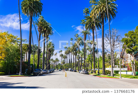 洛杉磯比佛利山莊的住宅區 137668176