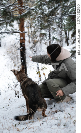 A young woman walks through a winter pine forest with her dog A young woman walks through a winter pine forest with her dog 137668290