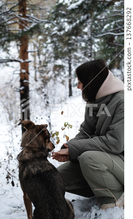 A young woman walks through a winter pine forest with her dog A young woman walks through a winter pine forest with her dog 137668292