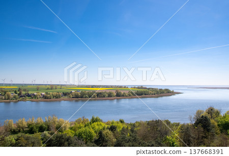 rapeseed field and wind generators 137668391