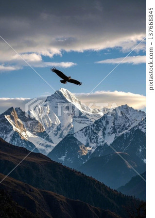 雪山上空翱翔的雄鹰 137668845