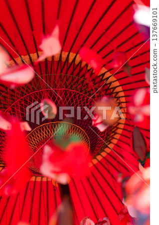酒田市的傳統裝飾品「傘服」（懸掛裝飾品）和Janome傘 137669101