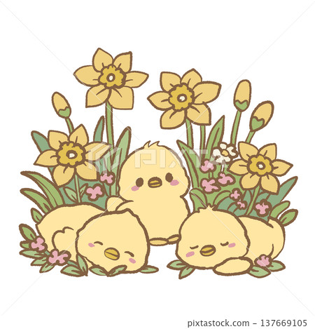 Cute baby chicks sleeping and sitting among yellow daffodils spring Easter illustration kawaii chick clipart for nursery decor stickers greeting cards and planners Cute baby chicks sleeping and sitting among yellow daffodils spring Easter illustration kawaii chick clipart for nursery decor stickers greeting cards and planners 137669105