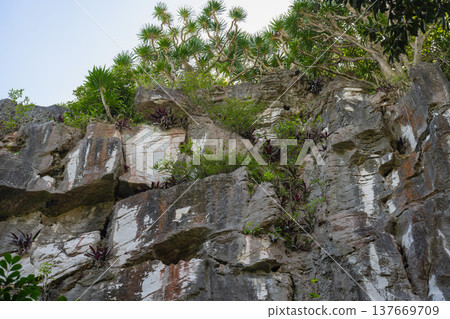 Marble Mountain (Ngu Hanh Shan), Da Nang, Vietnam 137669709