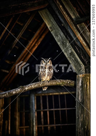 An owl perched under the eaves of a wooden house 137669993