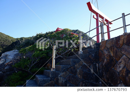 Ryugu Shrine, Tosashimizu City, Kochi Prefecture Ryugu Shrine, Tosashimizu City, Kochi Prefecture 137670793