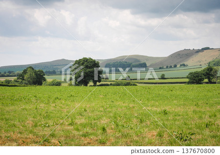 Panoramic View of Knap Hill and Adams Grave from Draycott Fitz Payne, Wiltshire Panoramic View of Knap Hill and Adams Grave from Draycott Fitz Payne, Wiltshire 137670800