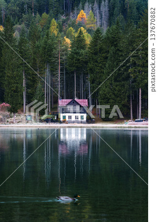 Lakeside house at lago di Dobbiaco surrounded by autumn forest, Italy 137670882
