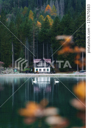 Lakeside house at lago di Dobbiaco surrounded by autumn forest, Italy 137670883