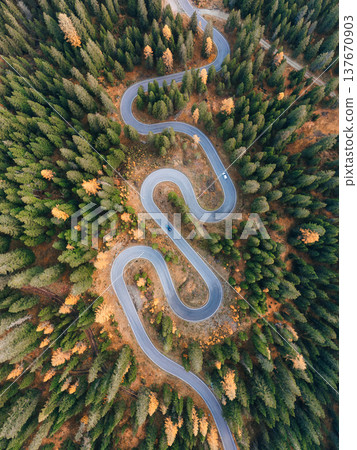 Winding asphalt snake road surrounded by autumn pine forest in Dolomites, Italy 137670903