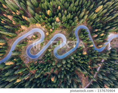 Winding asphalt snake road surrounded by autumn pine forest in Dolomites, Italy Winding asphalt snake road surrounded by autumn pine forest in Dolomites, Italy 137670904