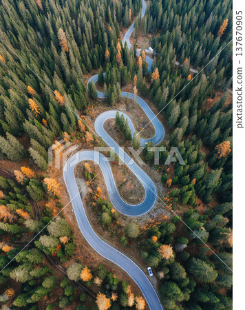 Winding asphalt snake road surrounded by autumn pine forest in Dolomites, Italy 137670905
