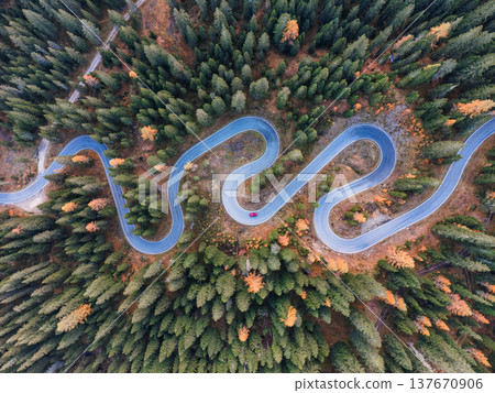 Winding asphalt snake road surrounded by autumn pine forest in Dolomites, Italy Winding asphalt snake road surrounded by autumn pine forest in Dolomites, Italy 137670906
