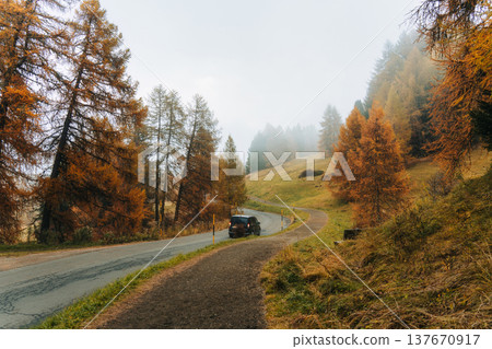 Foggy autumn mountain road with golden larch trees in Dolomites, Italy 137670917